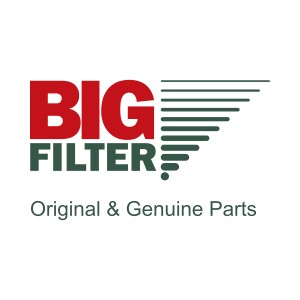 BIG FILTER - информация о производителе