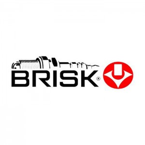 BRISK - информация о производителе