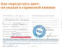 Автоэмаль для подкраски сколов с кисточкой, 12мл, цвет 248 Янтарь