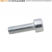 Болт М8х20х1,25 крышки корпуса рулевого механизма