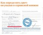 Автоэмаль для подкраски сколов с кисточкой, 12мл, цвет 147 Манго Автоэмаль для подкраски сколов с кисточкой, 12мл, цвет 147 Манго