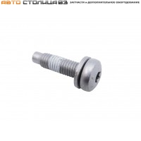 Винт М8х30х1.25 с шайбой ограничителя двери Лада Веста