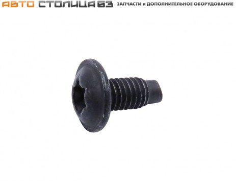 Винт М6х13 крепления бампера и замка двери Лада Веста / XRAY / Ларгус / Гранта