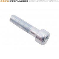 Винт М8х33х1,25 с внутренним шестигранником распредвала Лада Веста / XRAY 1,8л