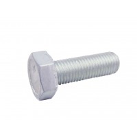 Болт М10х25х1,25 00001-0059707-21