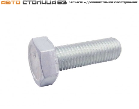 Болт М10х25х1,25 00001-0059707-21