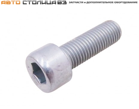Болт М10х30х1,25 с внутренним шестигранником 11180-3502112-00
